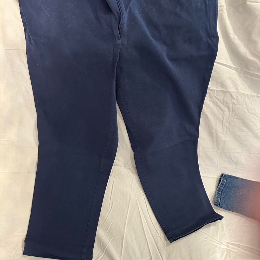 41 Hawthorn Midnight Trousers